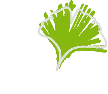 Ein grünes und weißes stilisiertes Ginkgoblatt auf weißem Hintergrund.